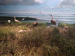 -中国湿地博物馆