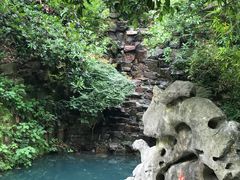 -十八棵（老龙井）御茶园(老龙井店)