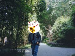 -望江楼公园