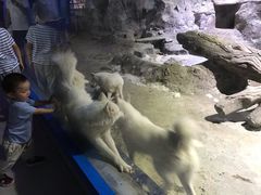 -临沂极地海洋王国