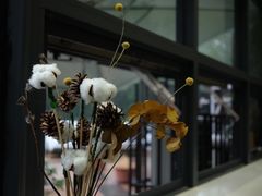 -隹木咖啡馆(宝龙广场店)