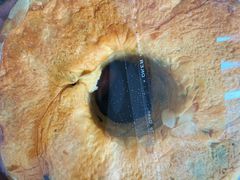 -皇家美孚(阳光100店)