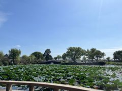 -无锡蠡湖国家湿地公园-蠡园