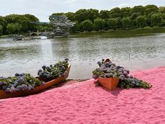 -上海鲜花港