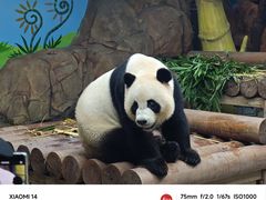 -广州长隆野生动物世界
