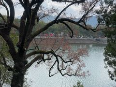 -蒋氏故居