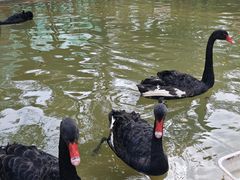 -南戴河国际娱乐中心