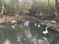 -兰亭风景区