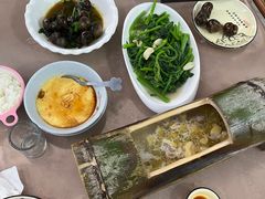 -遇龙河大樟树农家乐