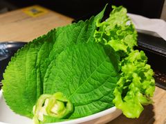 -权金城·炭火烤肉(北京联想桥店)