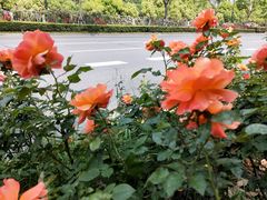 -杨高南路(地铁站)