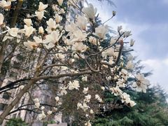 -木塔寺遗址生态公园