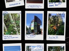 -华侨城湿地公园