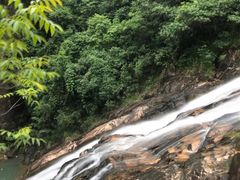 -广州白江湖森林公园