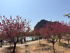 -星湖旅游景区七星岩