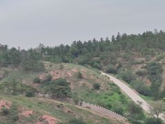 -红山国家森林公园