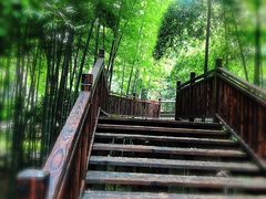 -宝岩生态观光园
