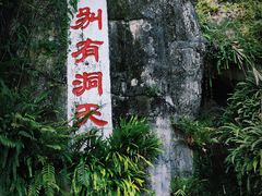 -深圳仙湖植物园