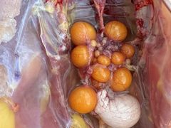 -马陆小张葡萄园农家乐