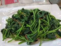 -欢乐海岸美食联盟
