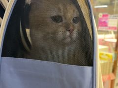 -FAELING PETS美天灵宠物(富力广场店)