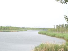 -西青郊野公园