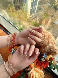 -H12 STAR日式美甲美睫专门店