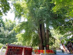 -潭柘寺景区