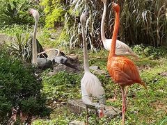 -昆明动物园