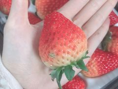 -黑池口感烘焙·生日蛋糕(坂田店)