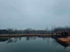 -溱湖国家湿地公园