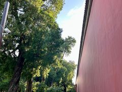 -北京市劳动人民文化宫(太庙)