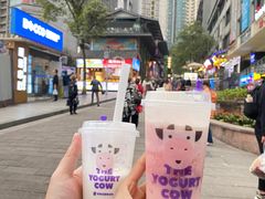 -一只酸奶牛(八一路店)