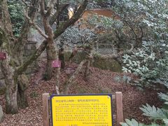 -普陀山慧济禅寺