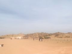-黄沙古渡原生态旅游区