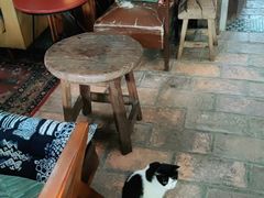 -城墙外BAR