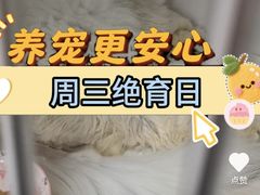 -艾吉宠物医院·疑难杂症转诊中心·猫友好(碧江路院)