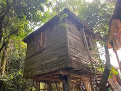 -天门沟九州驿站树上汤泉