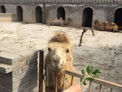 -洛阳马蹄泉旅游度假村