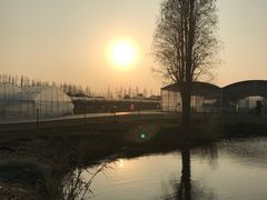 -上海长兴岛郊野公园