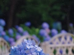 -常州古运河南大街文化旅游区-人民公园