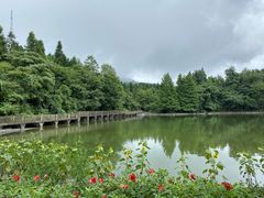 -武陵山森林公园