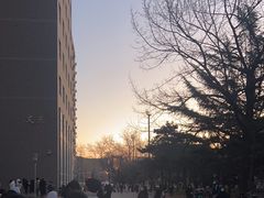 -中央民族大学