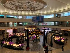 -新城市广场