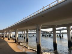 -演武大桥观景平台