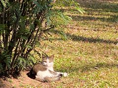 -晓港公园