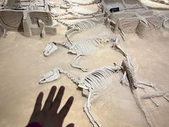 -洛阳周王城天子驾六博物馆