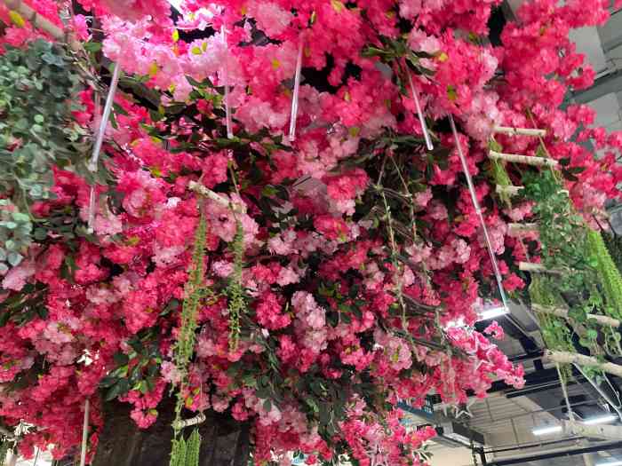 蟹岛国际花卉-"在蟹岛度假村里,靠近西侧的地方,面积不是.