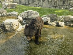 -北京野生动物园