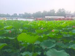 -小王府(什刹海店)